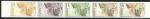 Mauritania_1963_Yvert_PA34-Scott_C29_five