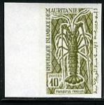 Mauritania_1964_Yvert_181-Scott_179_olive-green