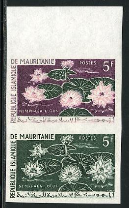 Mauritania_1964_Yvert_184-Scott_182_pair_a