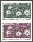 Mauritania_1964_Yvert_184-Scott_182_pair_b