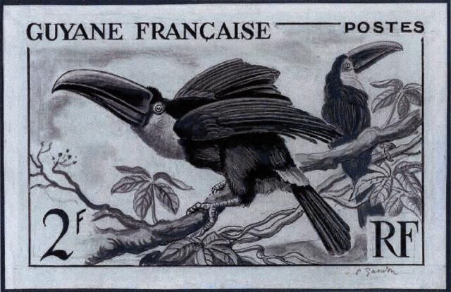 Fr_Guyana_1947_Yvert_213a-Scott_204_unissued_2f_Toucans_birds_MAQ