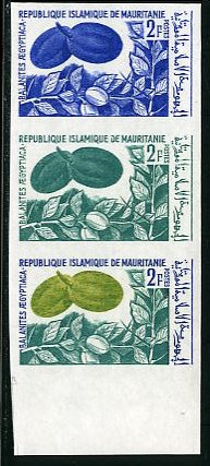 Mauritania_1967_Yvert_242-Scott_240_three