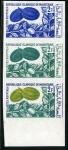 Mauritania_1967_Yvert_242-Scott_240_three
