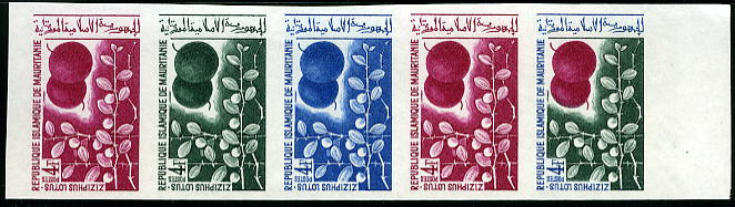 Mauritania_1967_Yvert_244-Scott_242_five_b