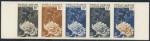 N_Caledonia_1959_Yvert_293-Scott_309_five_b