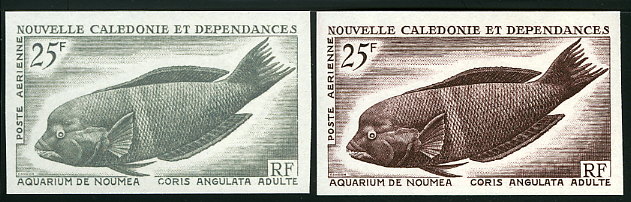 N_Caledonia_1965_Yvert_PA83-Scott_C43_different_colors