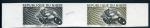 Niger_1976_Yvert_370-Scott_360_pair