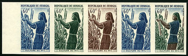 Senegal_1965_Yvert_256-Scott_251_five