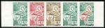 Somali_Coast_1960_Yvert_297-Scott_283_five_c
