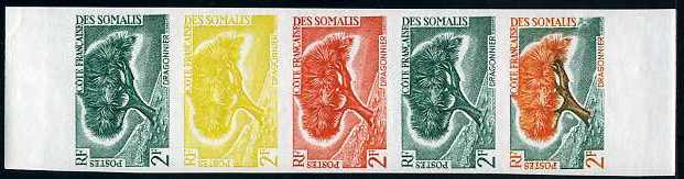 Somali_Coast_1961_Yvert_305-Scott_287_five_d