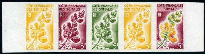 Somali_Coast_1966_Yvert_325-Scott_306_five_c