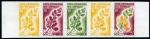 Somali_Coast_1966_Yvert_325-Scott_306_five_c