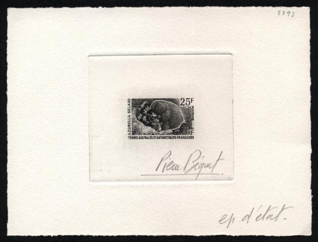 FSAT_1974_Yvert_52a-Scott_55_unissued_25f_azorella_selago_etat_black_aa_AP