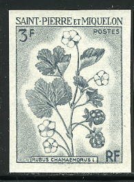 St_Pierre_1970_Yvert_401-Scott_400_grey