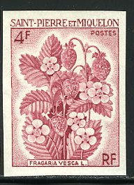 St_Pierre_1970_Yvert_402-Scott_401_dark-red