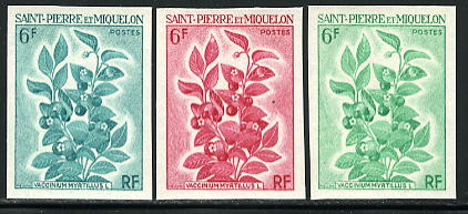 St_Pierre_1970_Yvert_404-Scott_403_different_colors