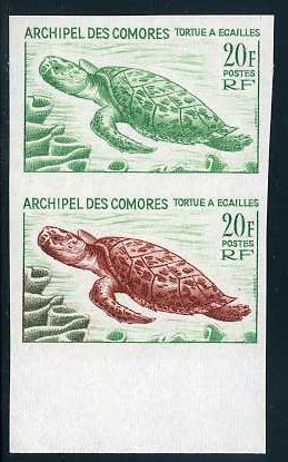 Comores_1965_Yvert_37-Scott_65_pair_aa