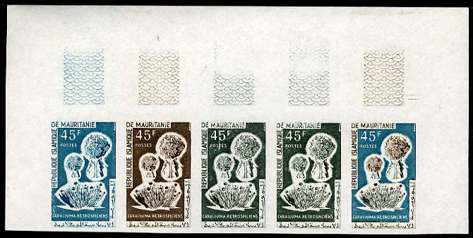 Mauritania_1964_Yvert_187-Scott_185_five_a