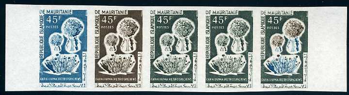 Mauritania_1964_Yvert_187-Scott_185_five_b