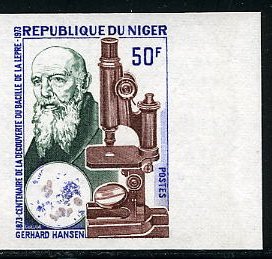 Niger_1973_Yvert_276-Scott_271_multicolor