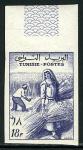 Tunisia_1956_Yvert_430-Scott_298_dark-blue