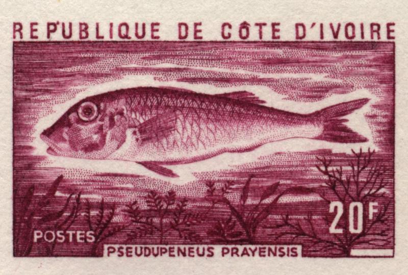Ivory_Coast_1973_Yvert_355-Scott_345_lilac_detail