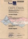 diploma_di_medaglia