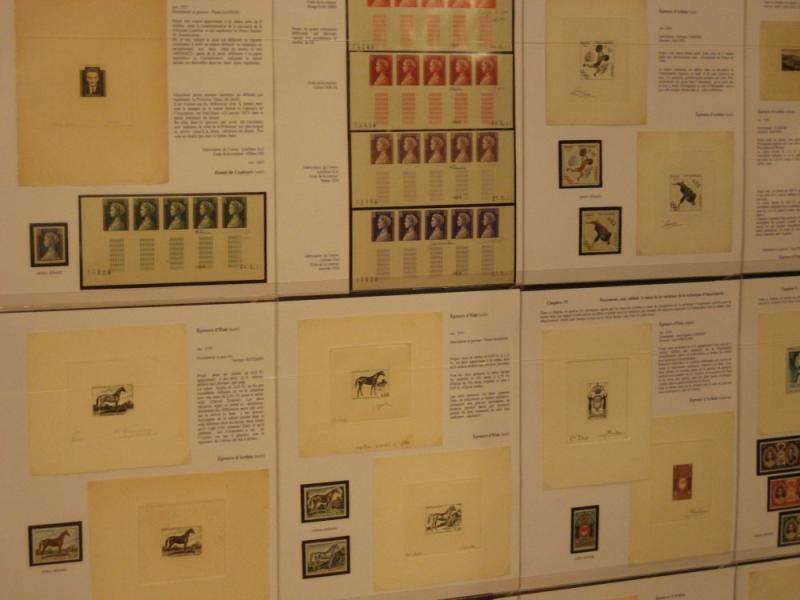 photo_008