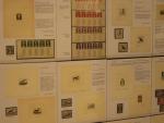 photo_008