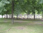 photo_005_Parc_Floral_de_Paris