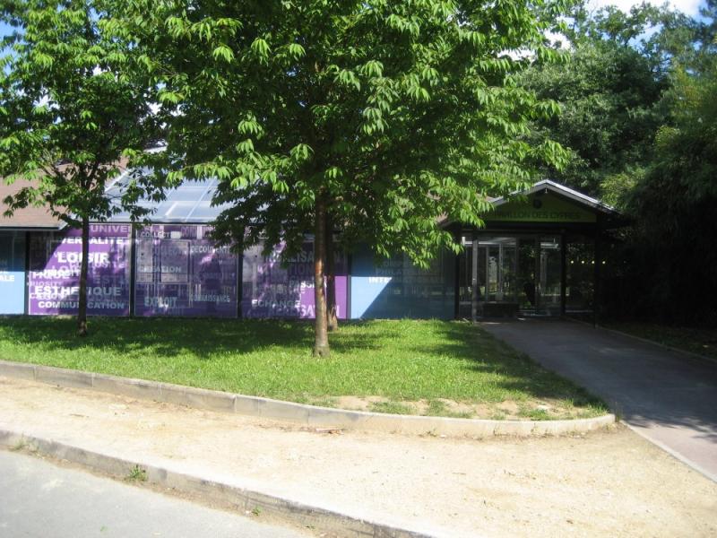 photo_009