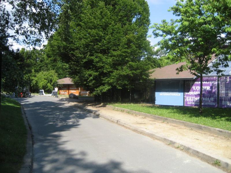 photo_010