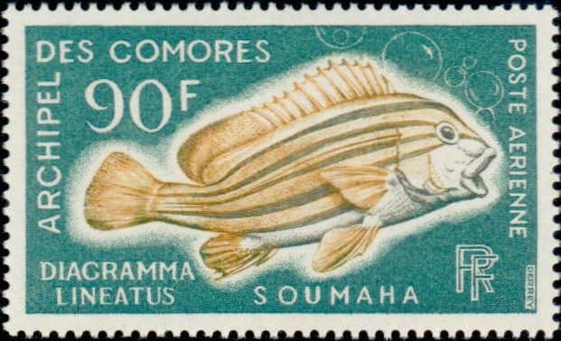Comores_1968_Yvert_PA24-Scott_C24_poisson_a_IS