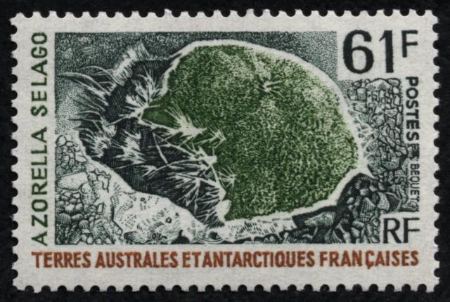 FSAT_1974_Yvert_52-Scott_55_61f_azorella_selago_a_IS