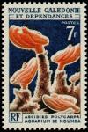 N_Caledonia_1963_Yvert_322-Scott_338