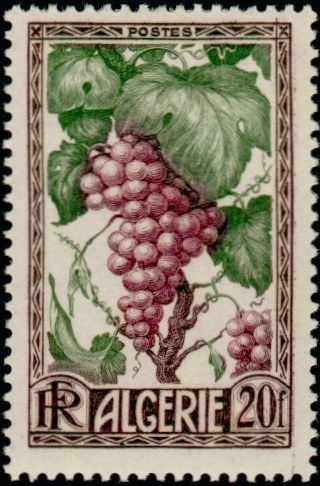 Algeria_1950_Yvert_279-Scott_229