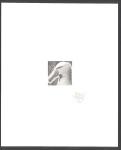 FSAT_2002_Yvert_328-Scott_negative_black