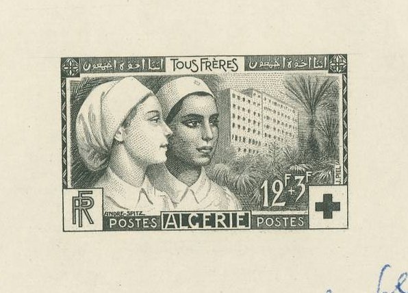 Algeria_1954_Yvert_316-Scott_B74_black_a_detail