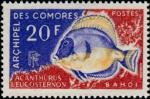 Comores_1968_Yvert_47-Scott_74