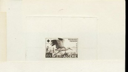 Algeria_1957_Yvert_344-Scott_B89_black_c