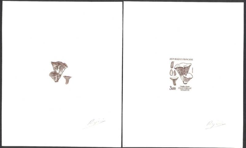 France_1987_Yvert_2489-Scott_2051_positive_+_negative_dark-brown
