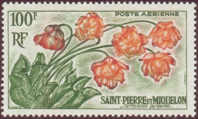 St_Pierre_1962_Yvert_PA27-Scott_C24
