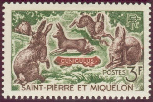 St_Pierre_1964_Yvert_372-Scott_370