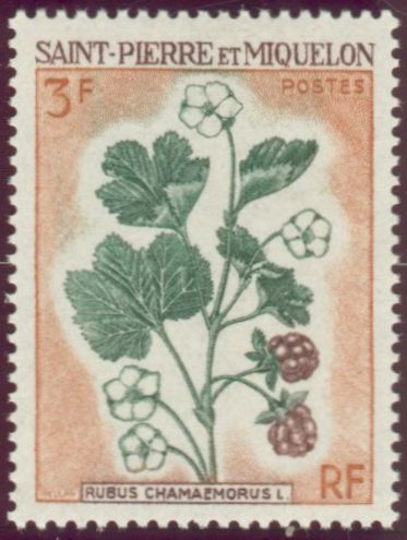 St_Pierre_1970_Yvert_401-Scott_400