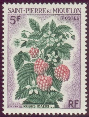 St_Pierre_1970_Yvert_403-Scott_402