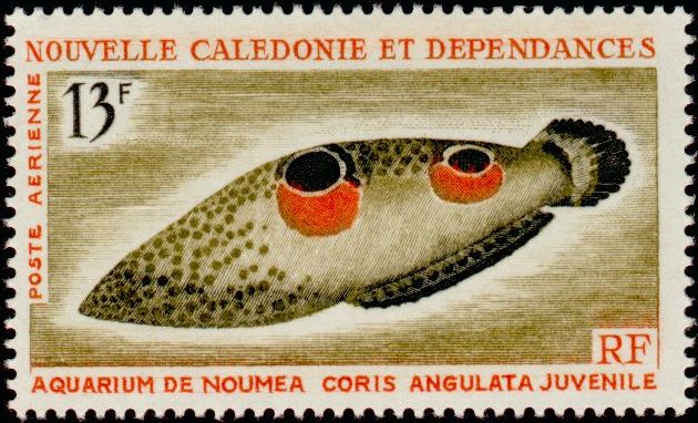 N_Caledonia_1965_Yvert_PA81-Scott_C41
