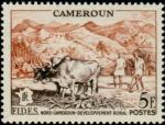 Cameroun_1956_Yvert_300-Scott_326