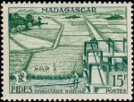 Madagascar_1956_Yvert_330-Scott_295