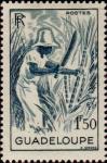 Guadeloupe_1947_Yvert_202-Scott_194