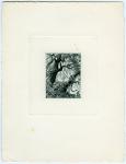 Fr_Equat_Africa_1952_Yvert_PA53a-Scott_C37_unadopted_Garden_of_Eden_by_Gandon_grey-blue_AP